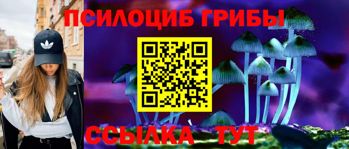 Псилоцибиновые грибы Cubensis Свободный